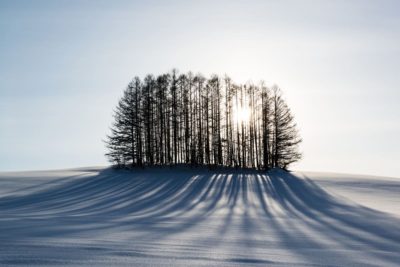 アイヌ文化が息づく北海道の伝統工芸品をピックアップ。